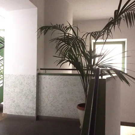 Studio Double Occupancy Apartman *